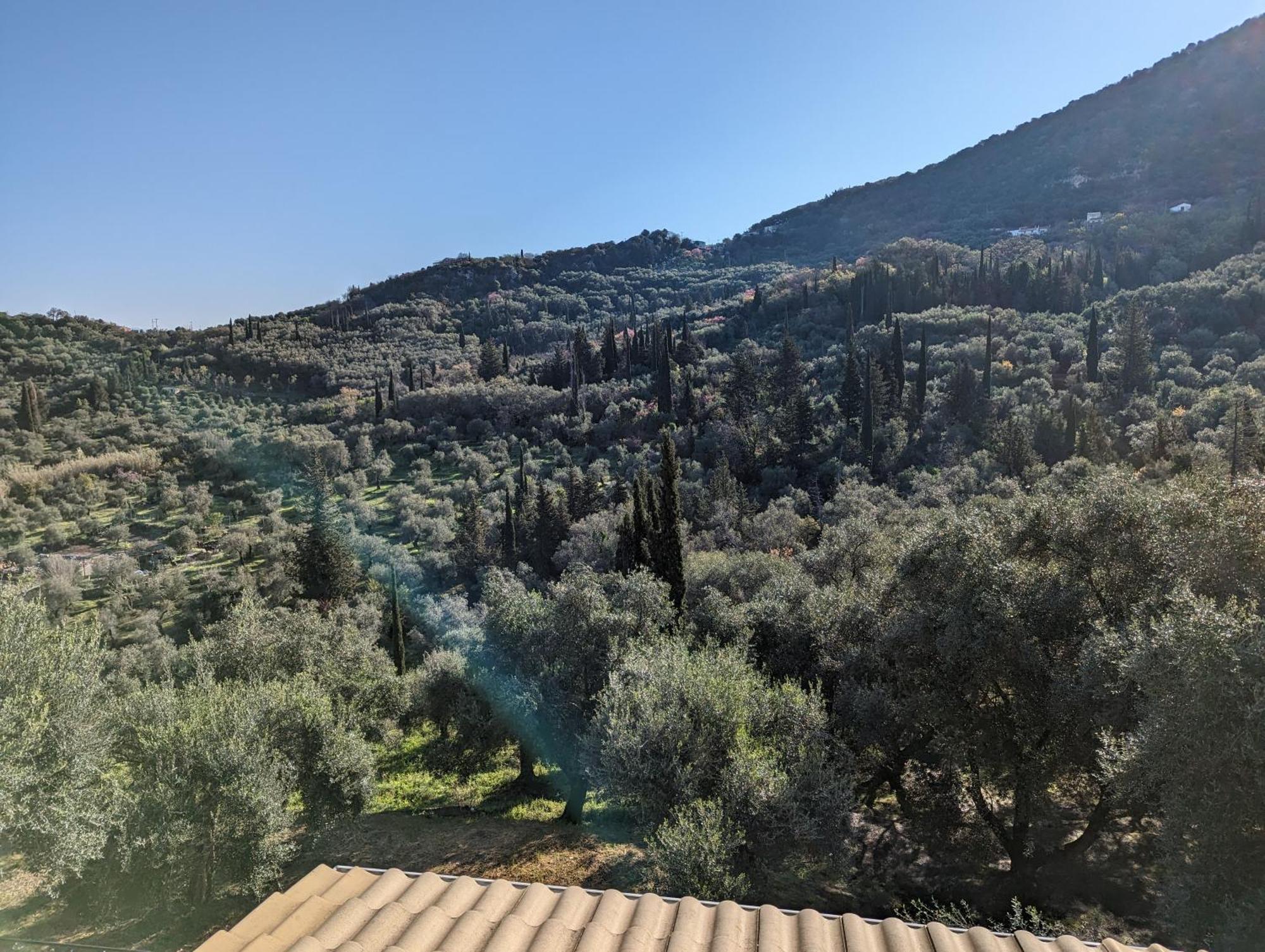 Villa Eleonas Strongyli  المظهر الخارجي الصورة